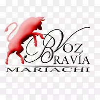 徽标图形设计字体设计-空若网 徽标图形设计字体设计-空若网