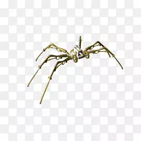 蒸汽朋克虫2月25日1月11日-昆虫-空若网 蒸汽朋克虫2月25日1月11日-昆虫-空若网