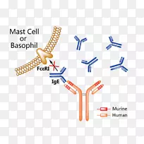 奥马利单抗药房药花生过敏-抗药物-空若网 奥马利单抗药房药花生过敏-抗药物-空若网