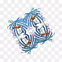 平面设计线艺术剪贴画设计-空若网 平面设计线艺术剪贴画设计-空若网