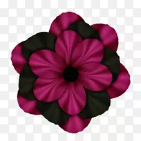 花瓣切花洋红色开花植物-空若网 花瓣切花洋红色开花植物-空若网