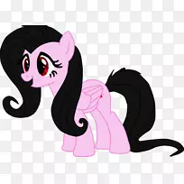 猫线艺术摄影马猫-空若网 猫线艺术摄影马猫-空若网