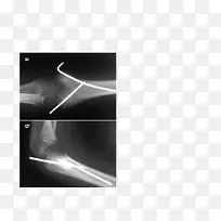 Ʒ�������ֽ��ɫ���-������