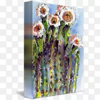 花卉设计切花仙人掌科仙人掌开花季节-空若网 花卉设计切花仙人掌科仙人掌开花季节-空若网