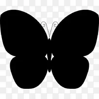 蝴蝶几何形状昆虫下载-蝴蝶-空若网 蝴蝶几何形状昆虫下载-蝴蝶-空若网