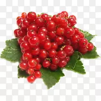 ����������Ѿƽ���-������