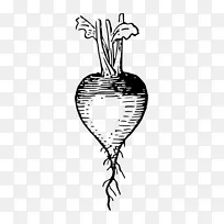 萝卜尼泊尔菜蔬菜剪贴画-蔬菜-空若网 萝卜尼泊尔菜蔬菜剪贴画-蔬菜-空若网