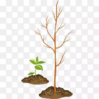 ƴͼ.������֦-������