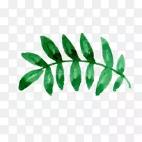 ˮ�ʻ��ֻ���Ҷ-������