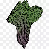 菜园剪贴画-蔬菜-空若网 菜园剪贴画-蔬菜-空若网