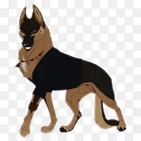 犬种-空若网 犬种-空若网