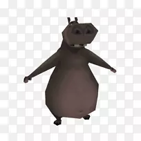 斯努特-格洛里亚马达加斯加-空若网 斯努特-格洛里亚马达加斯加-空若网