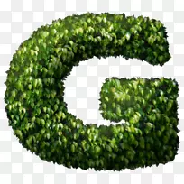 绿格鲁斯-空若网 绿格鲁斯-空若网