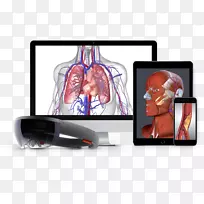 生物数字人体解剖神经系统人体三维人体模型-空若网 生物数字人体解剖神经系统人体三维人体模型-空若网