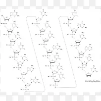 白点线ART角非蛋白质性氨基酸角-空若网 白点线ART角非蛋白质性氨基酸角-空若网