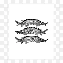 沙丁鱼白色字体-空若网 沙丁鱼白色字体-空若网