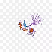 昆虫艺术传粉器字体-昆虫-空若网 昆虫艺术传粉器字体-昆虫-空若网