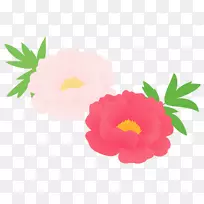 牡丹花草区系-空若网 牡丹花草区系-空若网