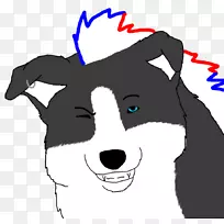 胡须狗猫鼻子狗-空若网 胡须狗猫鼻子狗-空若网