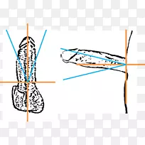 点角娱乐设计-空若网 点角娱乐设计-空若网