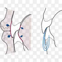 ����EAR/m/02csf�ԳƼ�����.������-������