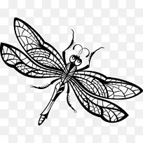 绘制蜻蜓-昆虫-空若网 绘制蜻蜓-昆虫-空若网