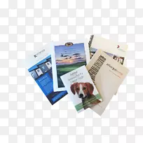 摄影纸广告品牌摄影.水彩思维-空若网 摄影纸广告品牌摄影.水彩思维-空若网