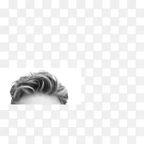 ��ӰФ��ͷ�����ѷ�-������