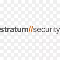 �������ȫӦ�ó���ȫҵ��adt��ȫ����.dns©��-������