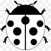 瓢虫昆虫剪贴画-昆虫-空若网 瓢虫昆虫剪贴画-昆虫-空若网