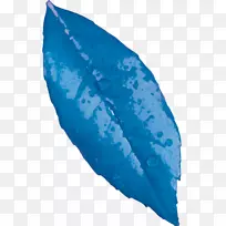 海洋绿松石花-空若网 海洋绿松石花-空若网