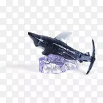 Ó㣬Óã-¿ÕÈôÍø Ó㣬Óã-¿ÕÈôÍø