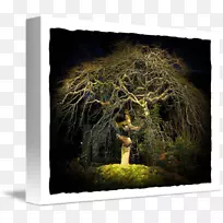 ��Ӱ.����֮��-������