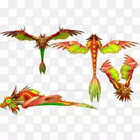 ����ֲ��Ҷֲ�ﾥҶ-������