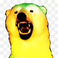 北极熊鼻子-北极熊-空若网 北极熊鼻子-北极熊-空若网