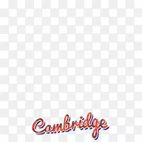 �̱�Ʒ���ߵ��������-������