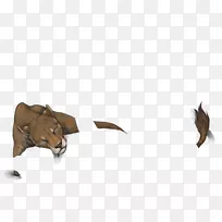 犬科蝙蝠狗鼻子-雌狮-空若网 犬科蝙蝠狗鼻子-雌狮-空若网