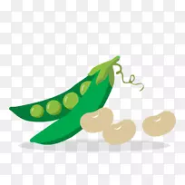 叶蔬菜水果剪贴画.豆类-空若网 叶蔬菜水果剪贴画.豆类-空若网
