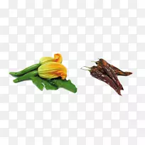 ����������Ϲϻ�����«�����߲�-������