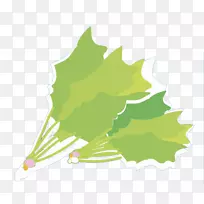 ��ɫ�߲˲�ͼ-��ɫ�߲�-������