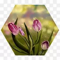 郁金香花型切花花瓣郁金香-空若网 郁金香花型切花花瓣郁金香-空若网