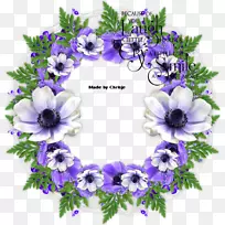 ��������л���Ȧ����-����-������