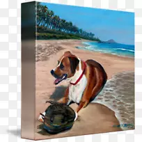 狗养殖画鼻子度假海滩流浪汉-空若网 狗养殖画鼻子度假海滩流浪汉-空若网