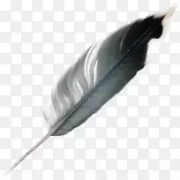 羽毛-羽毛-空若网 羽毛-羽毛-空若网