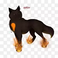 胡须猫狗鼻子猫-空若网 胡须猫狗鼻子猫-空若网