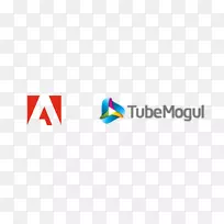 �ձ�TubeMOGUL adobeϵͳ�������Ӫ����-CJ-������