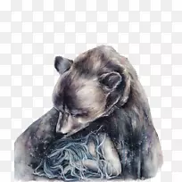 ˮ�ʻ���ͼ-������Ůˮ�ʻ���ͼ-������