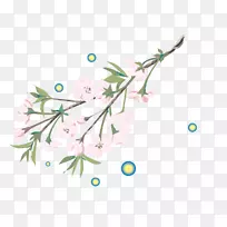 药用植物.花-空若网 药用植物.花-空若网