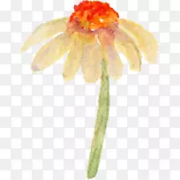 Ë®²Ê».Ë®²Ê»»¨-¿ÕÈôÍø Ë®²Ê».Ë®²Ê»»¨-¿ÕÈôÍø