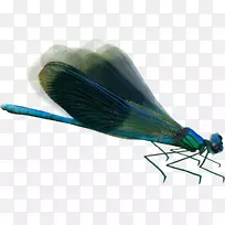 À¥³æòßòÑ͸Ã÷¶ÈºÍ°ë͸Ã÷ÐÔ-¿ÕÈôÍø À¥³æòßòÑ͸Ã÷¶ÈºÍ°ë͸Ã÷ÐÔ-¿ÕÈôÍø